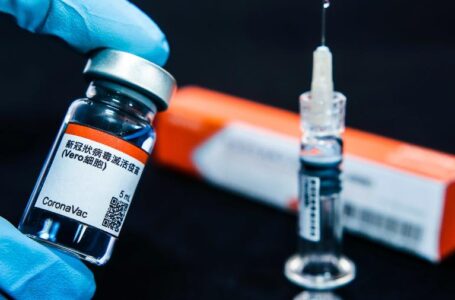 A Coronavac é uma das candidatas à vacina contra o novo coronavírus
Foto: Cadu Rolim/Fotoarena/Estadão Conteúdo