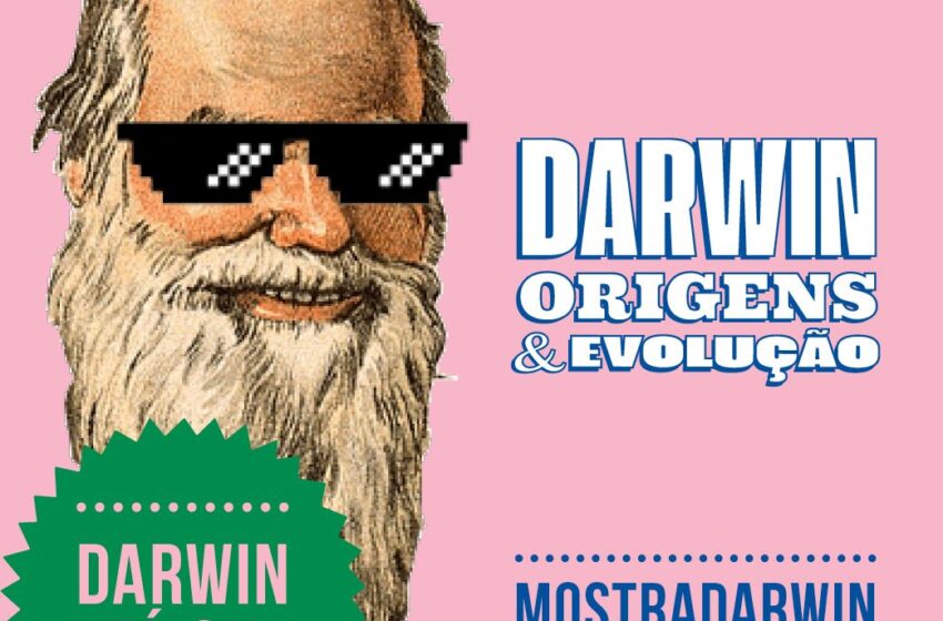 Exposição ‘Darwin – Origens & Evolução” ganha montagem virtual com proposta de ampliar o acesso à informação científica