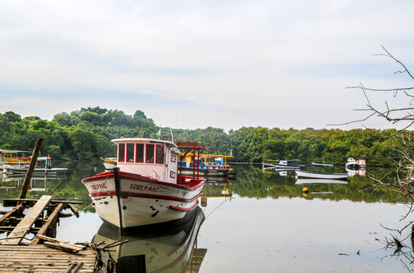 Pesca diminui e poluição aumenta
