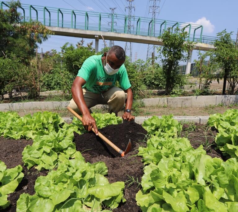 Com Parque Madureira, bairro do subúrbio carioca terá maior horta do mundo