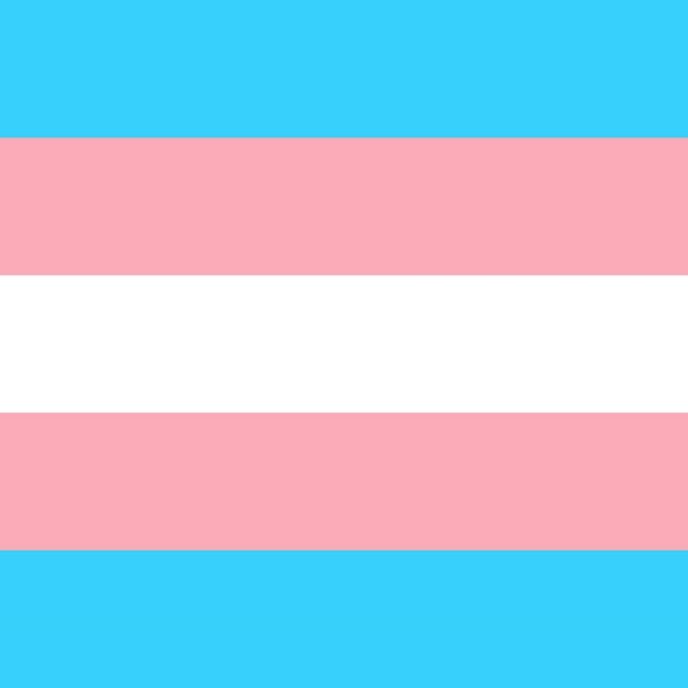 Curso promove capacitação de mulheres trans para trilharem caminho como empreendedoras