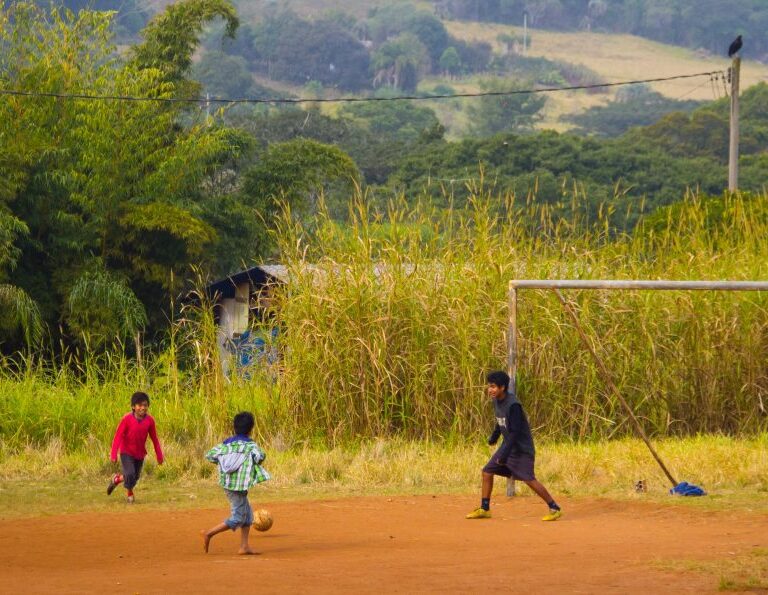 Com pandemia e sem escola, crianças indígenas enfrentam desafios no país