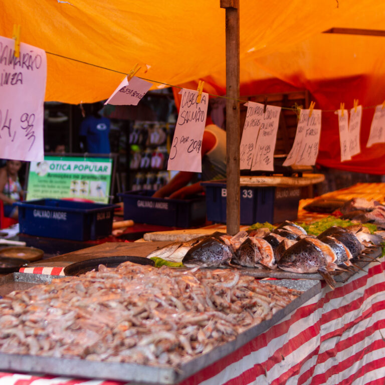 Consumo de pescados aumenta em favelas mareenses e eleva gastos