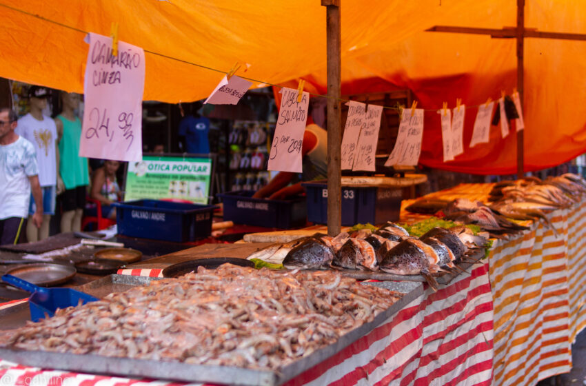  Consumo de pescados aumenta em favelas mareenses e eleva gastos