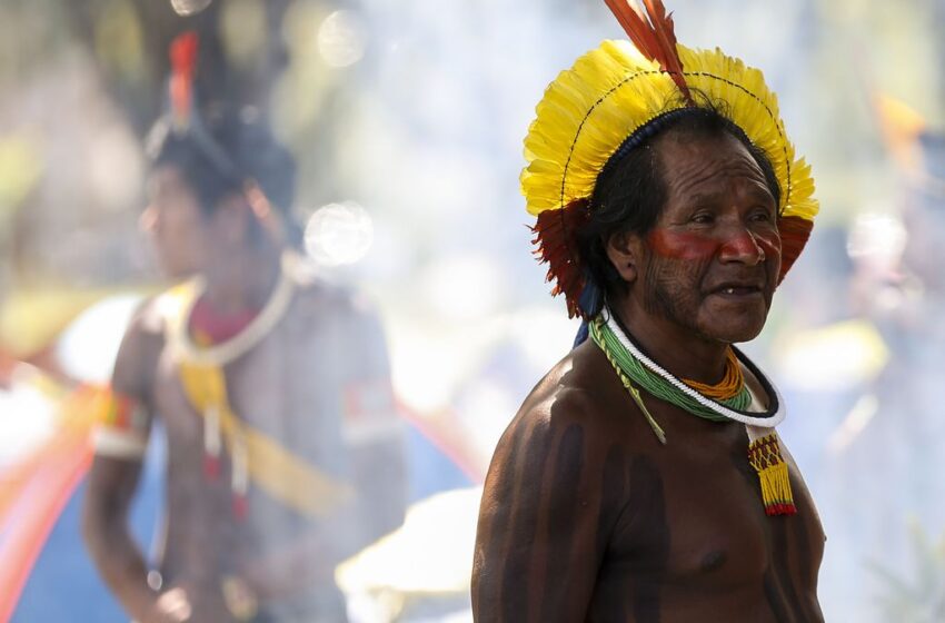  ‘Cadê os Yanomami?’: terrorismo anti-indígena e o agravamento da violência histórica