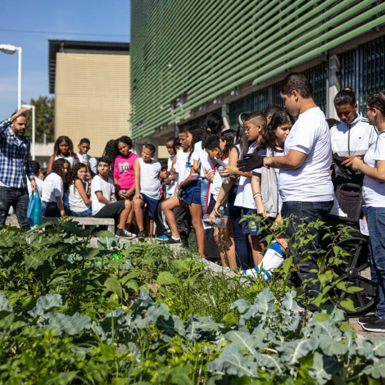 Espaços para plantar e colher na Maré