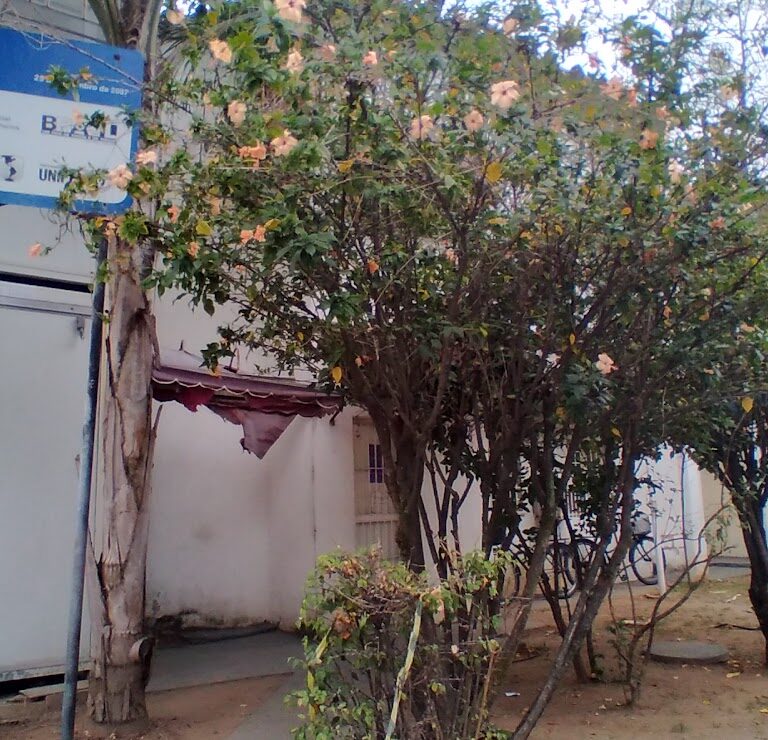 Centro de referência na Vila do João é ponto de apoio a mulheres