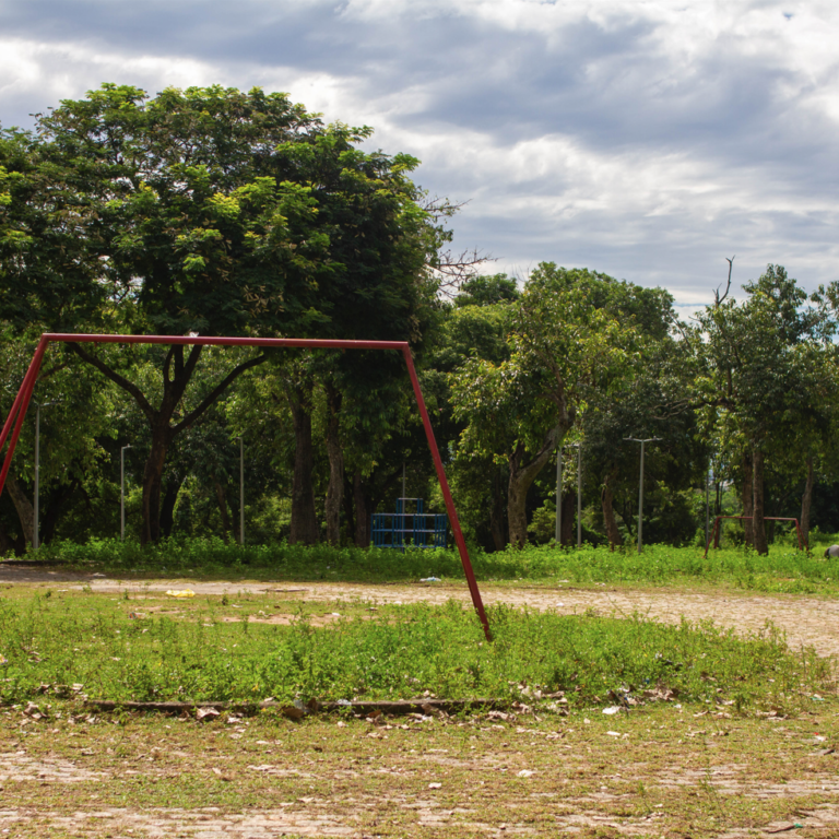 Memória e luta por preservação da área verde da Maré